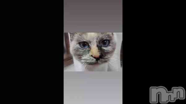 ���߱���᤭���Ф��Ƥ��ޤ��褦�ʡ�