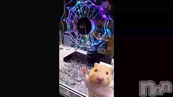 �֥⡼�˥󥰥ƥ�����🥃��