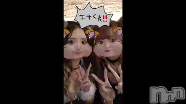 �������ۡ������γ�����- ̗̀📣��