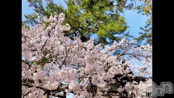 長岡デリヘル長岡風俗出張アロママッサージ(ナガオカフウゾクシュッチョウアロママッサージ) 小雪★リピ様のみ(35)の4月4日動画「」