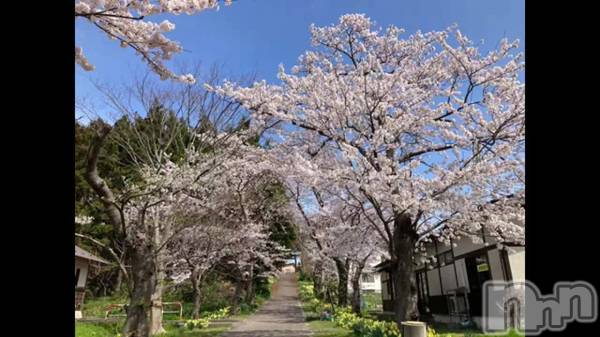 長岡デリヘル長岡風俗出張アロママッサージ(ナガオカフウゾクシュッチョウアロママッサージ) 小雪★リピ様のみ(35)の4月6日動画「」