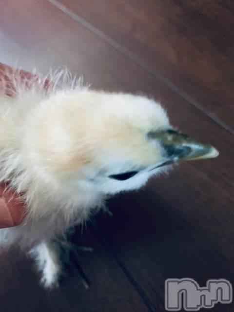 長岡デリヘル長岡風俗出張アロママッサージ(ナガオカフウゾクシュッチョウアロママッサージ) ゆずき【リクエスト可】(37)の11月18日写メブログ「本日も♡」