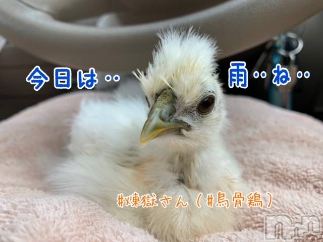 長岡デリヘル長岡風俗出張アロママッサージ(ナガオカフウゾクシュッチョウアロママッサージ) ゆずき【リクエスト可】(37)の12月12日写メブログ「雨から雪になるかな‥」