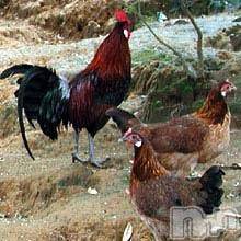 長岡デリヘル長岡風俗出張アロママッサージ(ナガオカフウゾクシュッチョウアロママッサージ) ゆずき【リクエスト可】(37)の1月16日写メブログ「ありがとうございました♡」