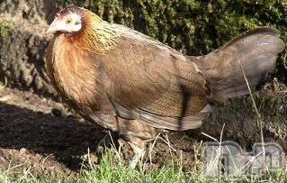 長岡デリヘル長岡風俗出張アロママッサージ(ナガオカフウゾクシュッチョウアロママッサージ) ゆずき【リクエスト可】(37)の1月26日写メブログ「ありがとうございました♡」