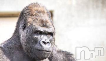 長岡デリヘル長岡風俗出張アロママッサージ(ナガオカフウゾクシュッチョウアロママッサージ) ゆずき【リクエスト可】(37)の10月15日写メブログ「ありがとうございました^ - ^」