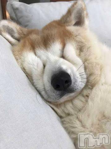 長岡デリヘル長岡風俗出張アロママッサージ(ナガオカフウゾクシュッチョウアロママッサージ) ゆずき【リクエスト可】(37)の1月16日写メブログ「寒い日ですね^ ^」