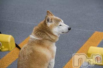 長岡デリヘル長岡風俗出張アロママッサージ(ナガオカフウゾクシュッチョウアロママッサージ) ゆずき【リクエスト可】(37)の2月24日写メブログ「本日も」