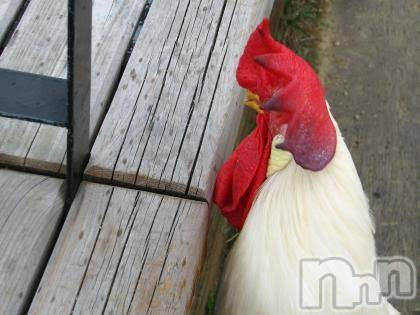 長岡デリヘル長岡風俗出張アロママッサージ(ナガオカフウゾクシュッチョウアロママッサージ)ゆずき【リクエスト可】(37)の2021年5月9日写メブログ「ありがとうございました！」