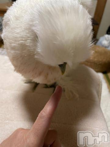 長岡デリヘル長岡風俗出張アロママッサージ(ナガオカフウゾクシュッチョウアロママッサージ)ゆずき【リクエスト可】(37)の2021年5月14日写メブログ「いつも‥」