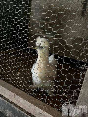 長岡デリヘル長岡風俗出張アロママッサージ(ナガオカフウゾクシュッチョウアロママッサージ)ゆずき【リクエスト可】(37)の2022年8月18日写メブログ「ありがとうございました^ - ^」