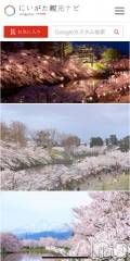 長岡デリヘル長岡風俗出張アロママッサージ(ナガオカフウゾクシュッチョウアロママッサージ) ゆずき【リクエスト可】(37)の3月24日写メブログ「桜の匂い」