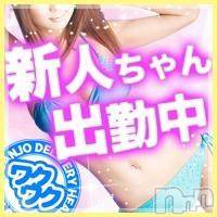 三条デリヘル(レディー)の2013年12月22日お店速報「14時～飛込出勤です！！！」