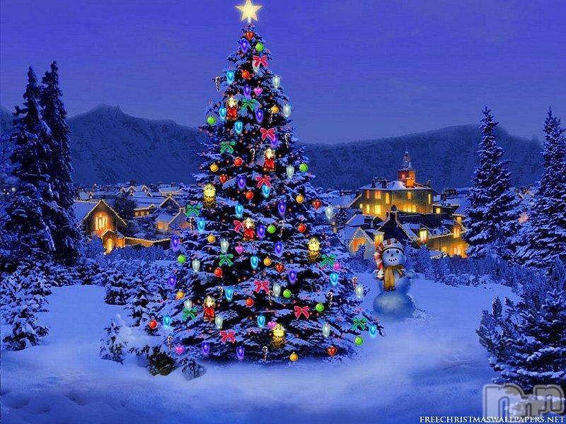 三条デリヘル(レディー)の2014年12月25日お店速報「メリークリスマス♪」