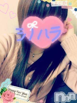 三条デリヘル(レディー)の2015年1月8日お店速報「やっぱりワクワク♪」