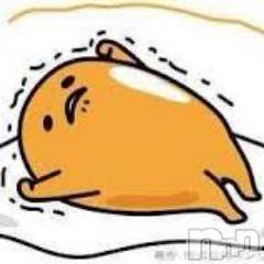 三条デリヘル(レディー)の2015年11月15日お店速報「日曜の昼間は、、、」