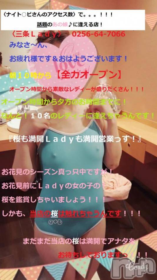 三条デリヘル(レディー)の2016年4月10日お店速報「お花見前にお花見後に」