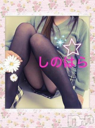 三条デリヘル(レディー)の2017年2月18日お店速報「これからご案内できる癒し系が…」