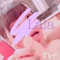 三条デリヘル(レディー)の2019年1月3日お店速報「ピチピチの変態ちゃんが待ってますよ♪♪」