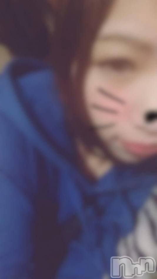 三条デリヘル(レディー)の2019年2月19日お店速報「注目度激高ッレアな女の子出勤ッッ」