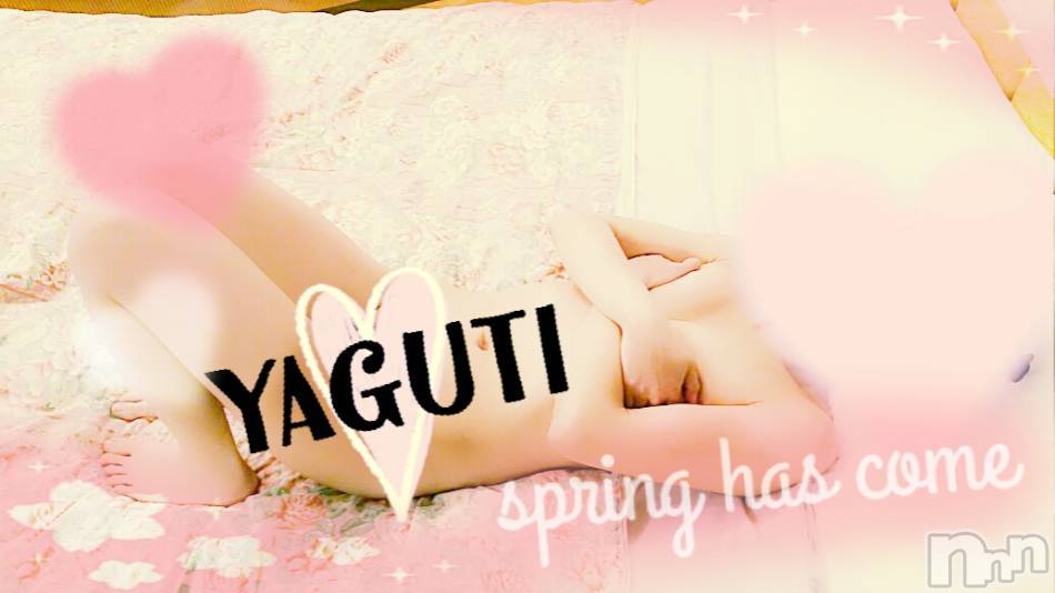 三条デリヘル(レディー)の2019年4月15日お店速報「ホテルで女の子とヌクヌク」