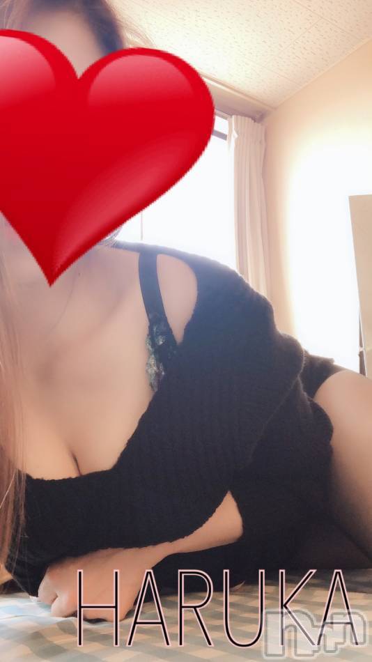 三条デリヘル(レディー)の2019年12月15日お店速報「売り切れ必至のあの子が朝から出勤ッ」