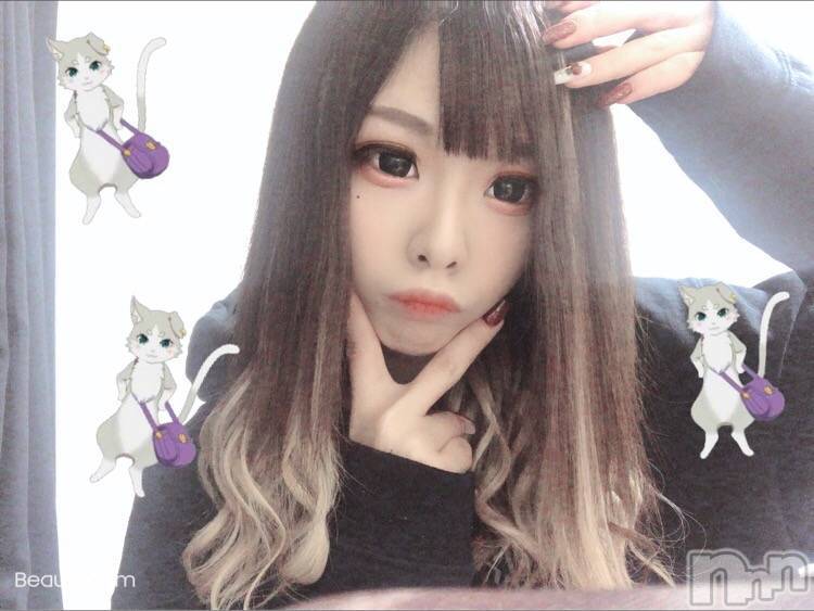 三条デリヘル(レディー)の2020年2月1日お店速報「申し訳ございません」