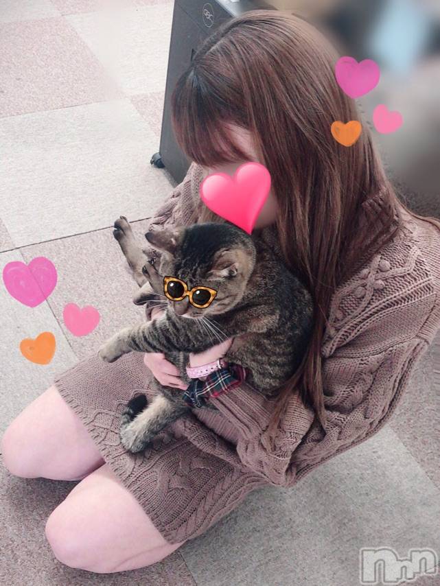 三条デリヘル(レディー)の2020年2月5日お店速報「珍しい女の子も出勤しますよ♪」