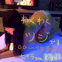 三条デリヘル Lady-出稼ぎ0！地域密着デリヘル-(レディー)の4月22日お店速報「可愛い系ツジちゃん・ヒイラちゃん残り僅か」