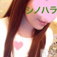 三条デリヘル Lady-出稼ぎ0！地域密着デリヘル-(レディー)の9月25日お店速報「三条でかなり盛り上がってます☆」