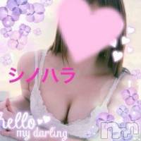 三条デリヘル Lady-出稼ぎ0！地域密着デリヘル-(レディー)の11月7日お店速報「まだ間に合います！！」