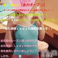 三条デリヘル Lady-出稼ぎ0！地域密着デリヘル-(レディー)の4月10日お店速報「お花見前にお花見後に」