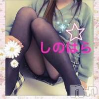 三条デリヘル Lady-出稼ぎ0！地域密着デリヘル-(レディー)の2月18日お店速報「これからご案内できる癒し系が…」