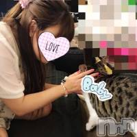 三条デリヘル Lady-出稼ぎ0！地域密着デリヘル-(レディー)の7月29日お店速報「どんな女の子と遊びますか？」