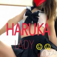 三条デリヘル Lady-出稼ぎ0！地域密着デリヘル-(レディー)の12月5日お店速報「レア出勤！めずらしい子がいますよ♪」