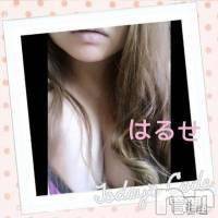 三条デリヘル Lady-出稼ぎ0！地域密着デリヘル-(レディー)の3月7日お店速報「色んなタイプの子出勤中☆イチャイチャしませんか？」