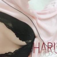 三条デリヘル Lady-出稼ぎ0！地域密着デリヘル-(レディー)の8月15日お店速報「カワイ子ちゃん祭りです～～ッ☆」