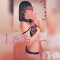 三条デリヘル Lady-出稼ぎ0！地域密着デリヘル-(レディー)の12月19日お店速報「未経験ガールパーティー!!!」