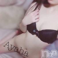 三条デリヘル Lady-出稼ぎ0！地域密着デリヘル-(レディー)の2月17日お店速報「レアな女の子が！！！もう呼んじゃいましょう！！」