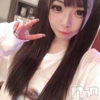 三条デリヘル Lady-出稼ぎ0！地域密着デリヘル-(レディー)の2月2日お店速報「ホントすみません」