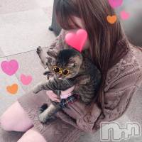 三条デリヘル Lady-出稼ぎ0！地域密着デリヘル-(レディー)の2月5日お店速報「珍しい女の子も出勤しますよ♪」