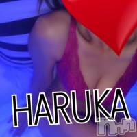 三条デリヘル Lady-出稼ぎ0！地域密着デリヘル-(レディー)の2月6日お店速報「パイオーツ・オブ・カリビアンッ」