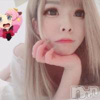 三条デリヘル Lady-出稼ぎ0！地域密着デリヘル-(レディー)の3月17日お店速報「人気な子ばっかりですいません」