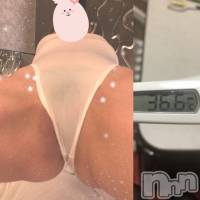 三条デリヘル Lady-出稼ぎ0！地域密着デリヘル-(レディー)の4月22日お店速報「これから直ぐにご案内できますよ～♪」