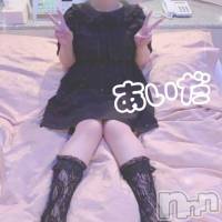 三条デリヘル Lady-出稼ぎ0！地域密着デリヘル-(レディー)の10月11日お店速報「申し訳ございません。。。」