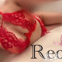 三条デリヘル Lady-出稼ぎ0！地域密着デリヘル-(レディー)の12月26日お店速報「初出勤のれおちゃん残り➊枠です」