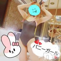 三条デリヘル Lady-出稼ぎ0！地域密着デリヘル-(レディー)の8月28日お店速報「かわいいバニーちゃんに癒されませんか？？」