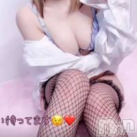 三条デリヘル Lady-出稼ぎ0！地域密着デリヘル-(レディー)の3月9日お店速報「綺麗なお姉さんロリカワどっちにする」