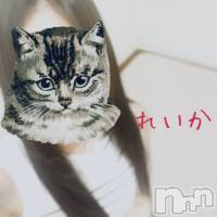 三条デリヘル Lady-出稼ぎ0！地域密着デリヘル-(レディー)の8月2日お店速報「正直激アツ！！可愛い・綺麗な子しかいません！！」