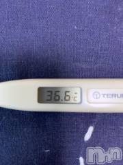 上越デリヘル上越最安値！奥様Deli急便(ジョウエツサイヤスネ！オクサマデリキュウビン) 超癒し系奥様 ももこ(37)の10月12日写メブログ「今日の体温♡」